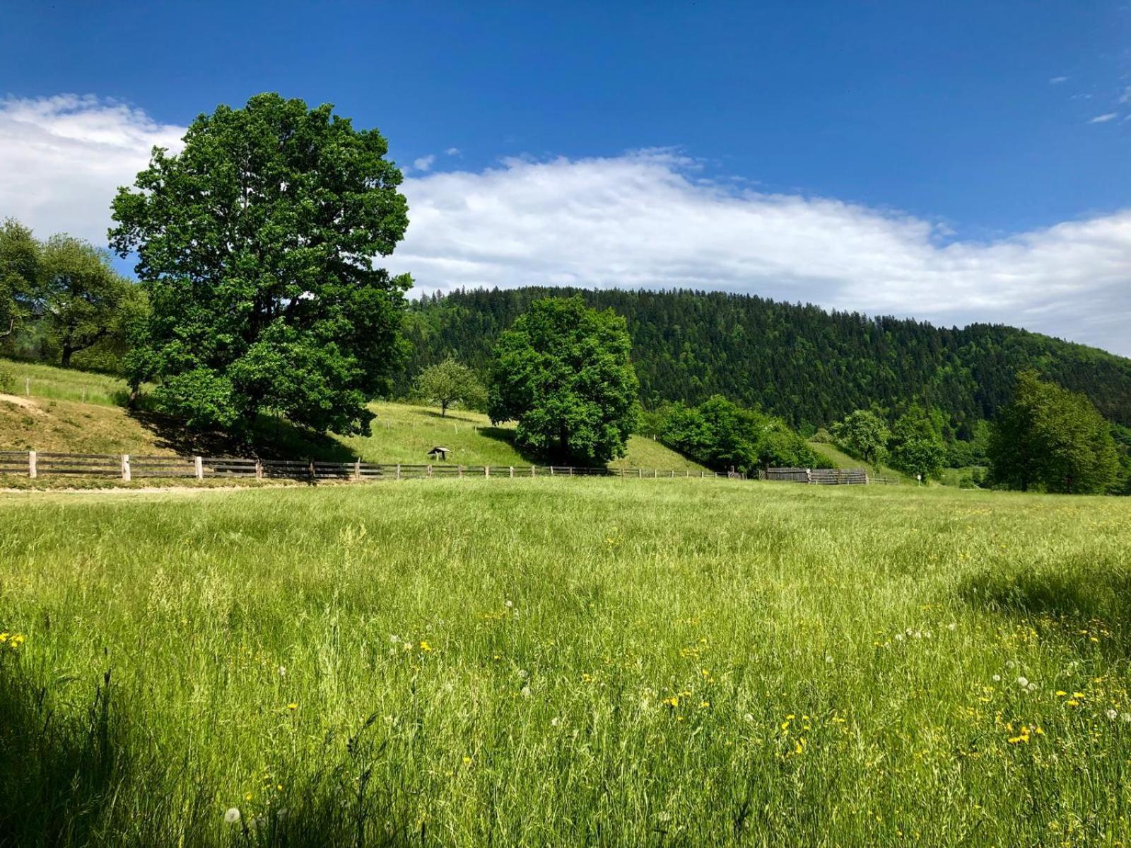 Glamping Savinja Hotel Ljubno Exterior foto