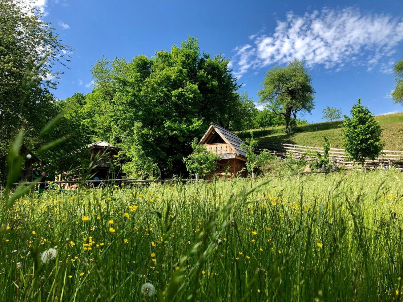 Glamping Savinja Hotel Ljubno Exterior foto