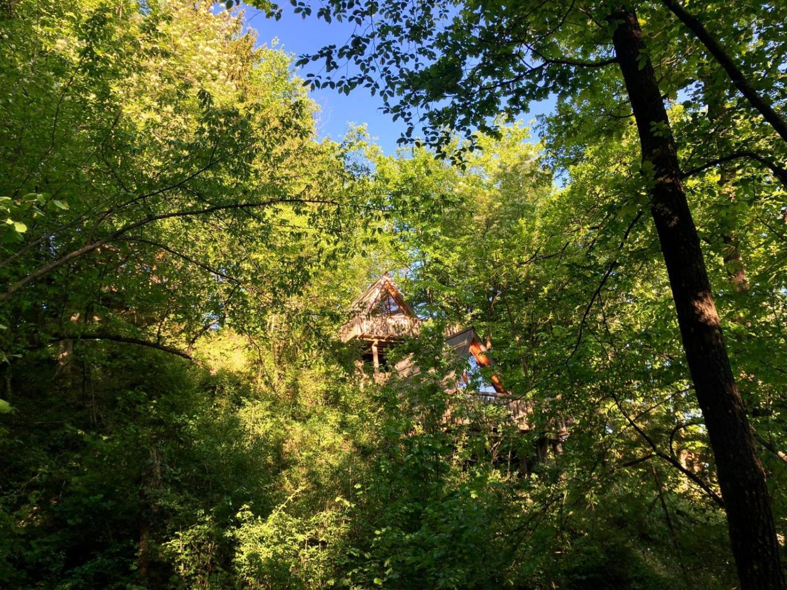 Glamping Savinja Hotel Ljubno Exterior foto